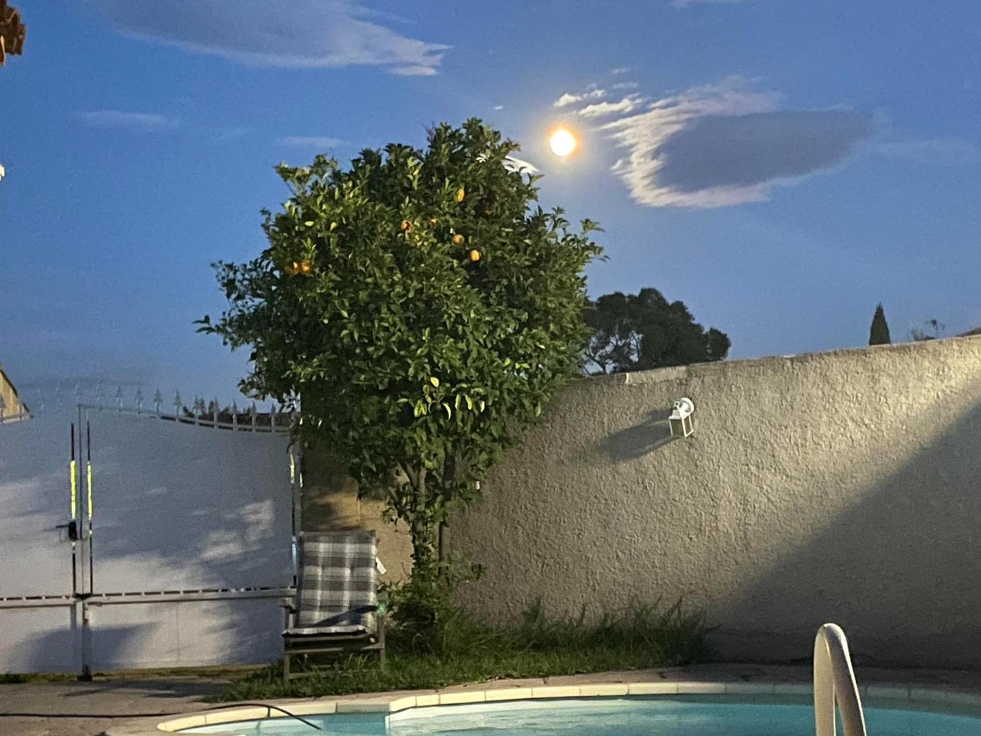 Appartement Bouvreuil Fos-sur-Mer Exterior foto